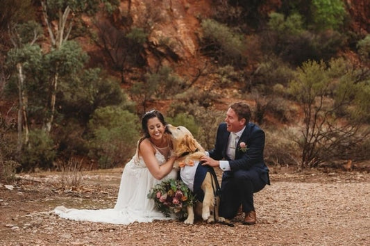 Dogs in Weddings