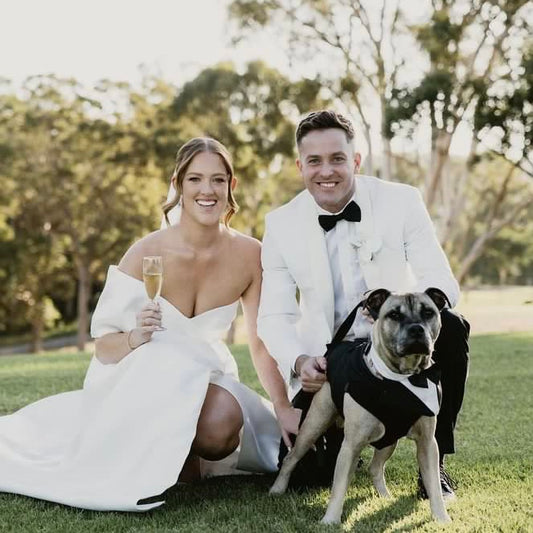 Pets in wedding - just a trend?