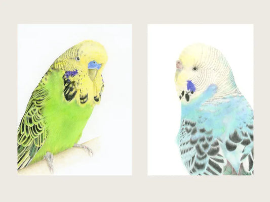 Heartfelt ways to honour your bird at your wedding (without them attending)