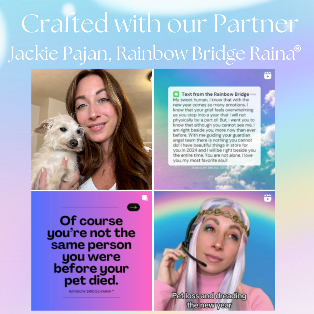 Messages from My Pet Angel- pet loss sympathy cards