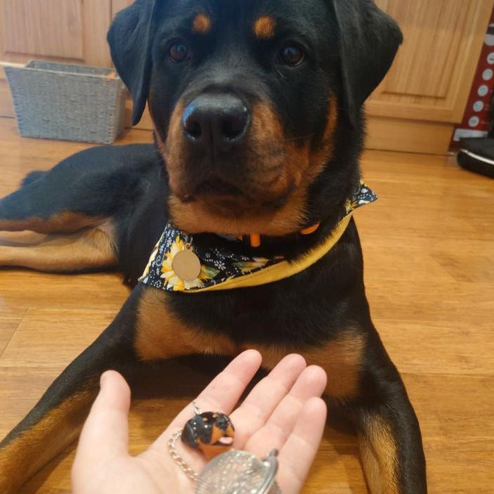 Handmade custom pet face mesh ball tea strainer showing a rottweiler face in front of the actual dog.