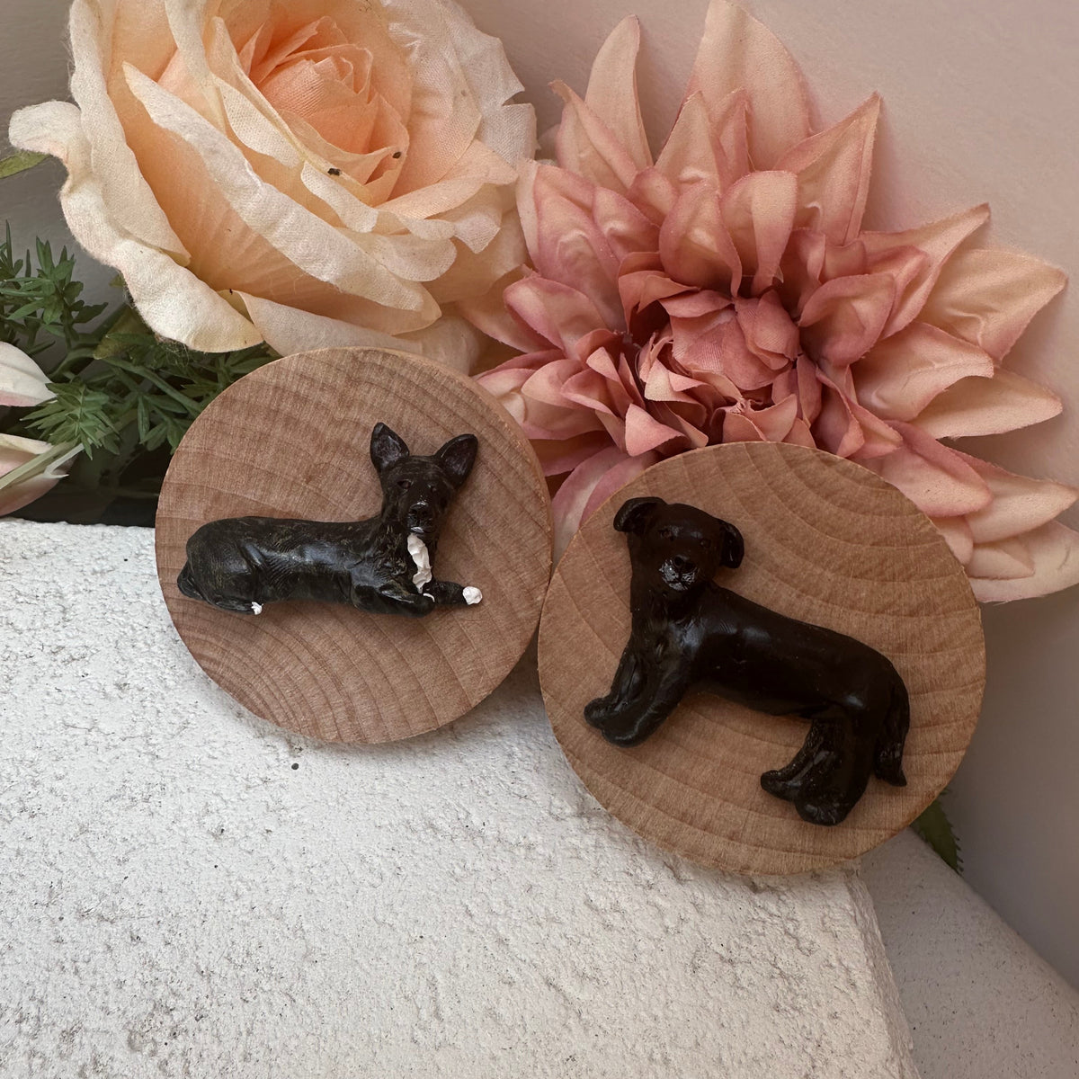 Custom pet magnetic timber bottle opener