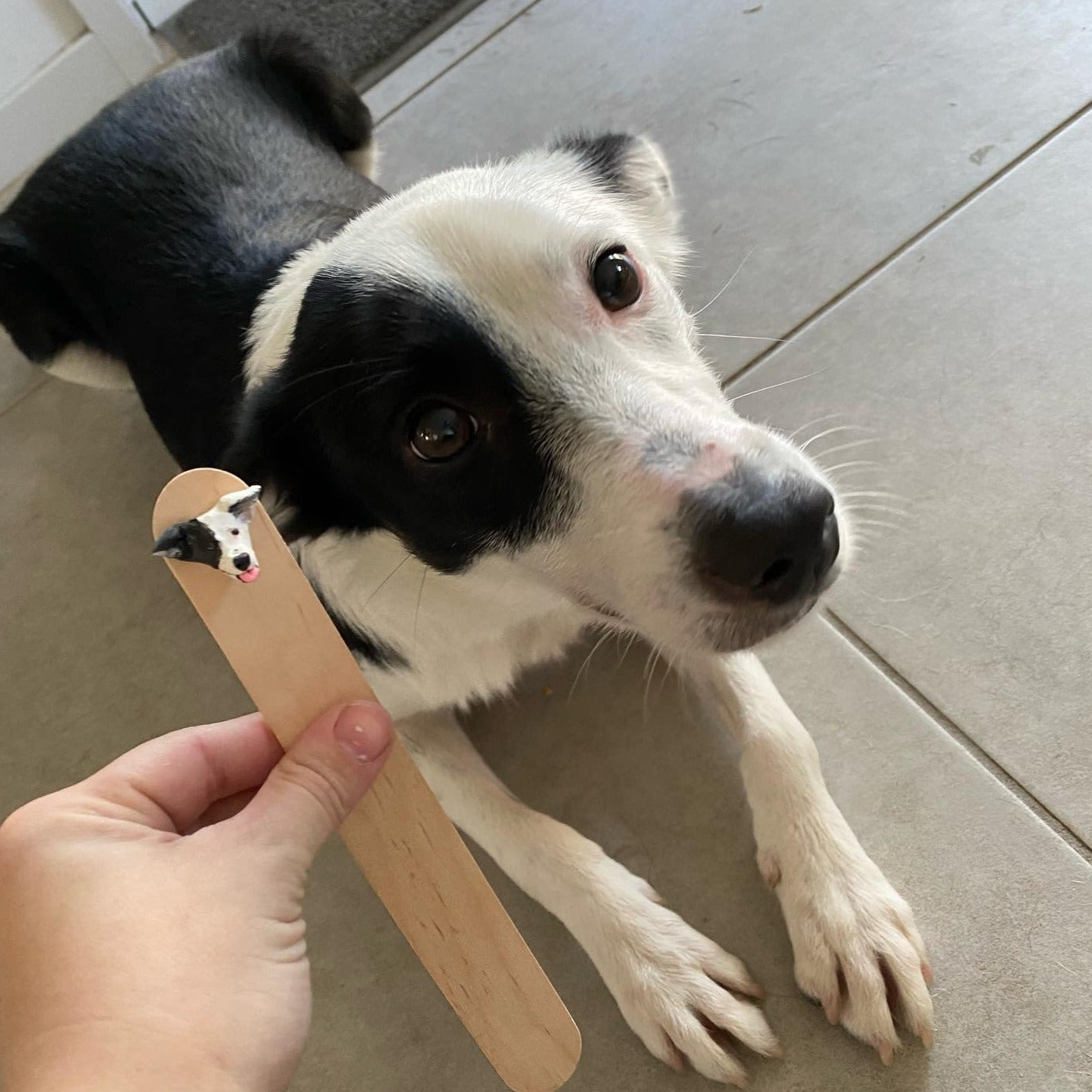 Handmade custom pet face page keeper showing a border collie's face in front of the actual dog.