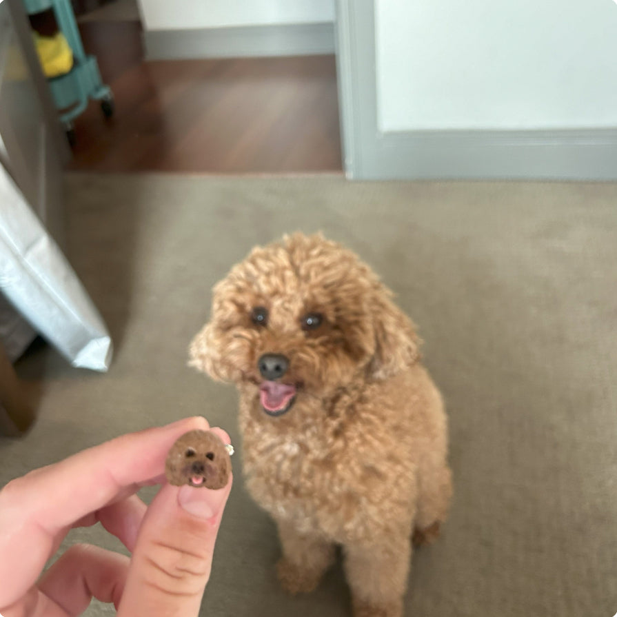 Custom pet lapel pin