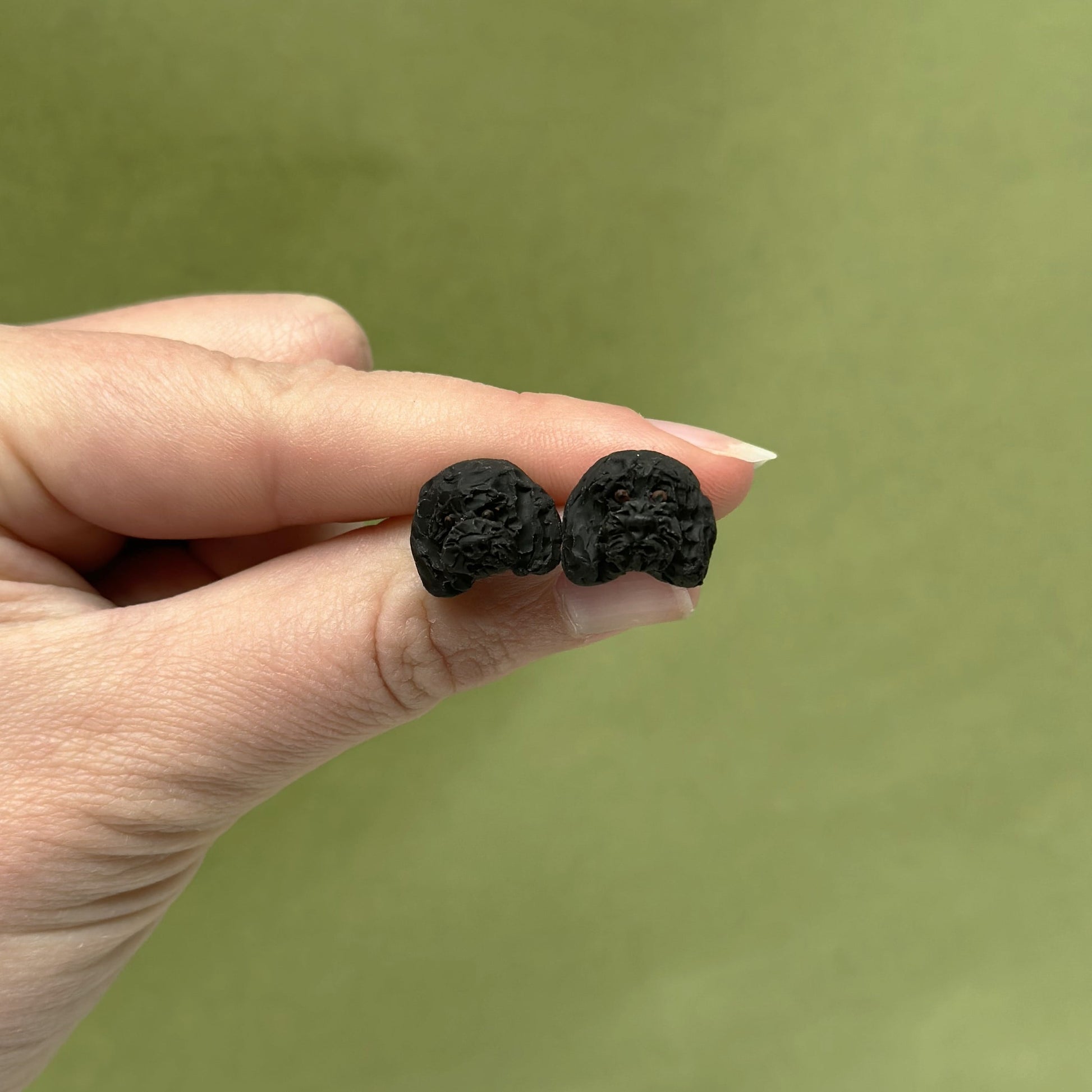 Handmade black poodle stud earrings by Pawfect Love, positioned in front of dried flower arrangement