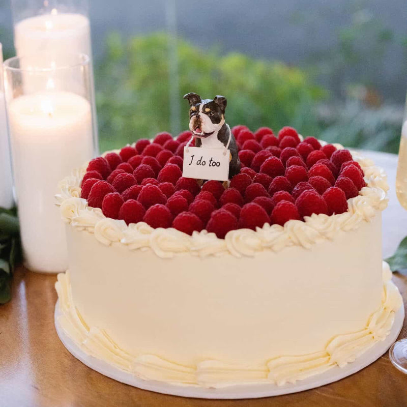 A round white frosted cake topped with a dense layer of red raspberries and a small dog figurine with a sign reading 'I do too', set on a wooden table with candles in the background.