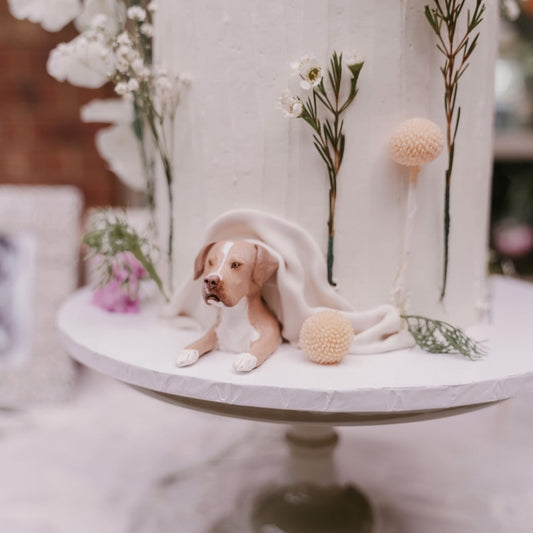 Custom bulldog peeking topper in a real wedding cake.