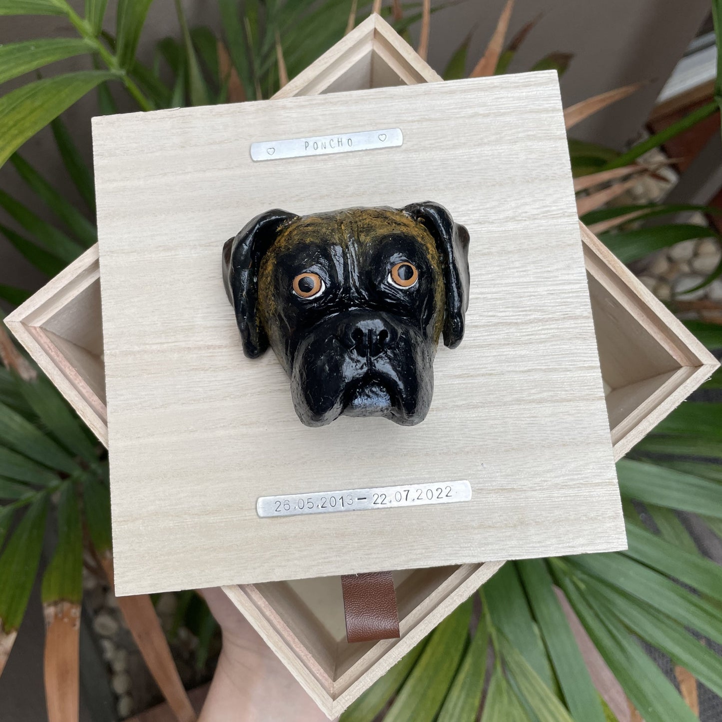 Custom timber pet memorial keepsake box with handscultped dog face on the lid, with a name plaque reading Poncho, being held over a palm plant..