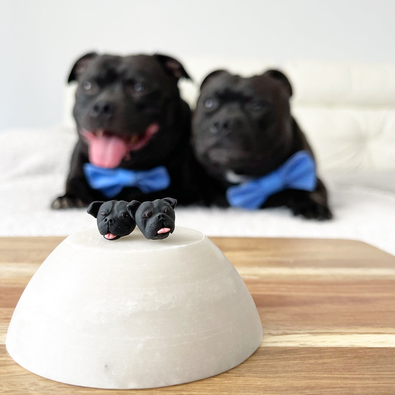 Mismatched pair of custom dog cufflinks, with the pair of black staffies in the background.