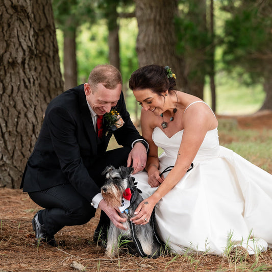 How to Include Your Pet in Your Wedding | Meaningful Ideas & Keepsakes