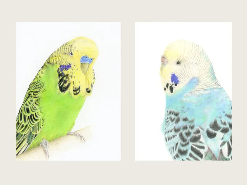 Heartfelt ways to honour your bird at your wedding (without them attending)
