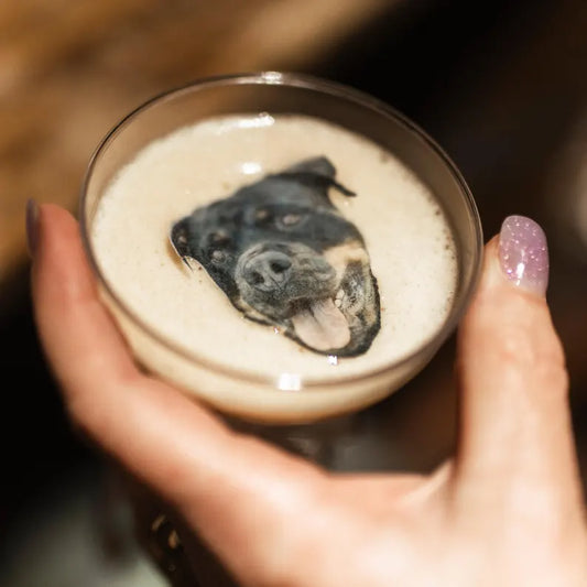 Top 10 Best Ways to Include Pets in Your Wedding