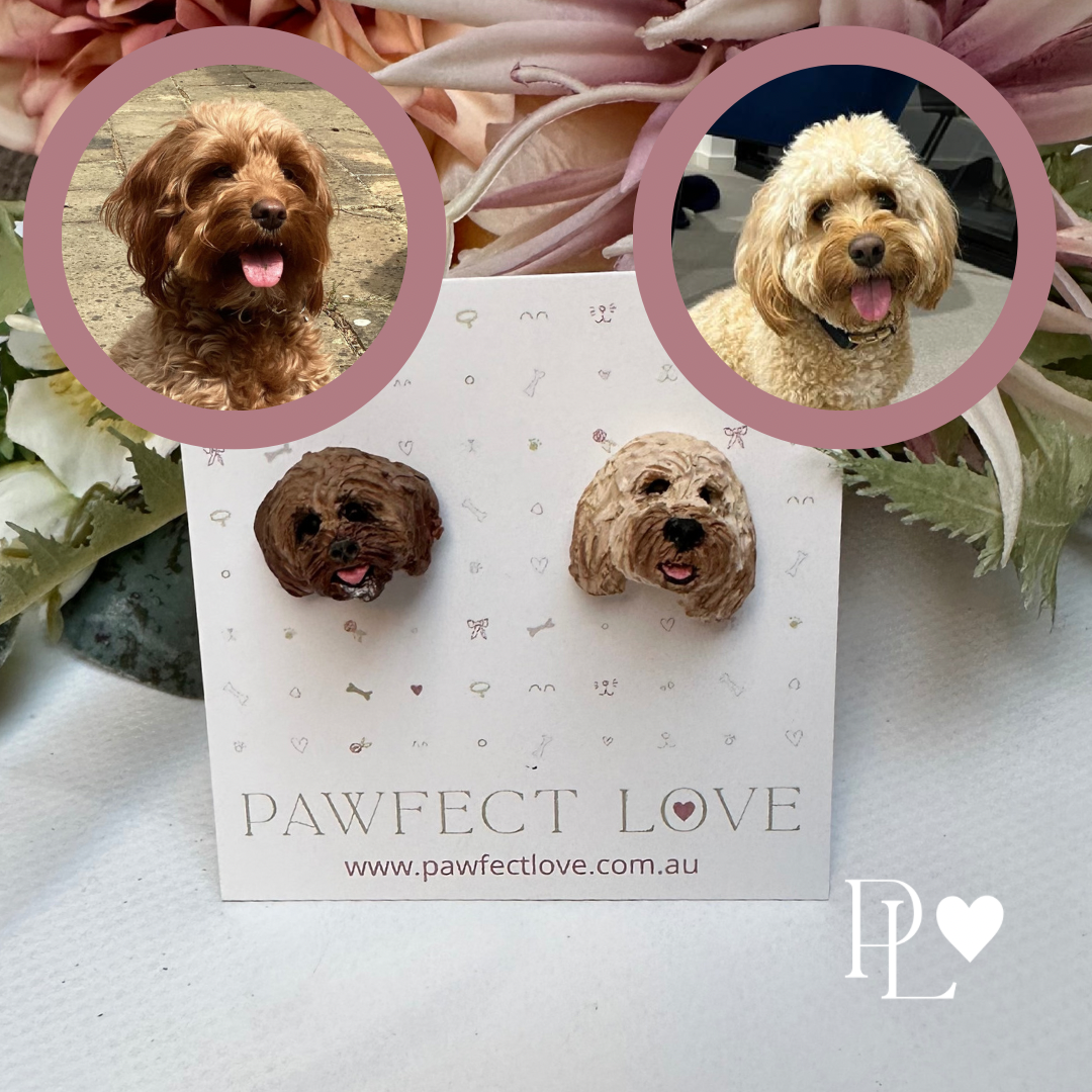 Handmade polymer clay custom pet stud earrings of 2 different cavoodles.