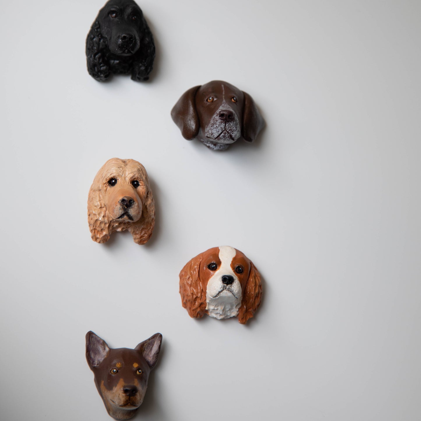Five dog head sculptures of different breeds on a light gray background