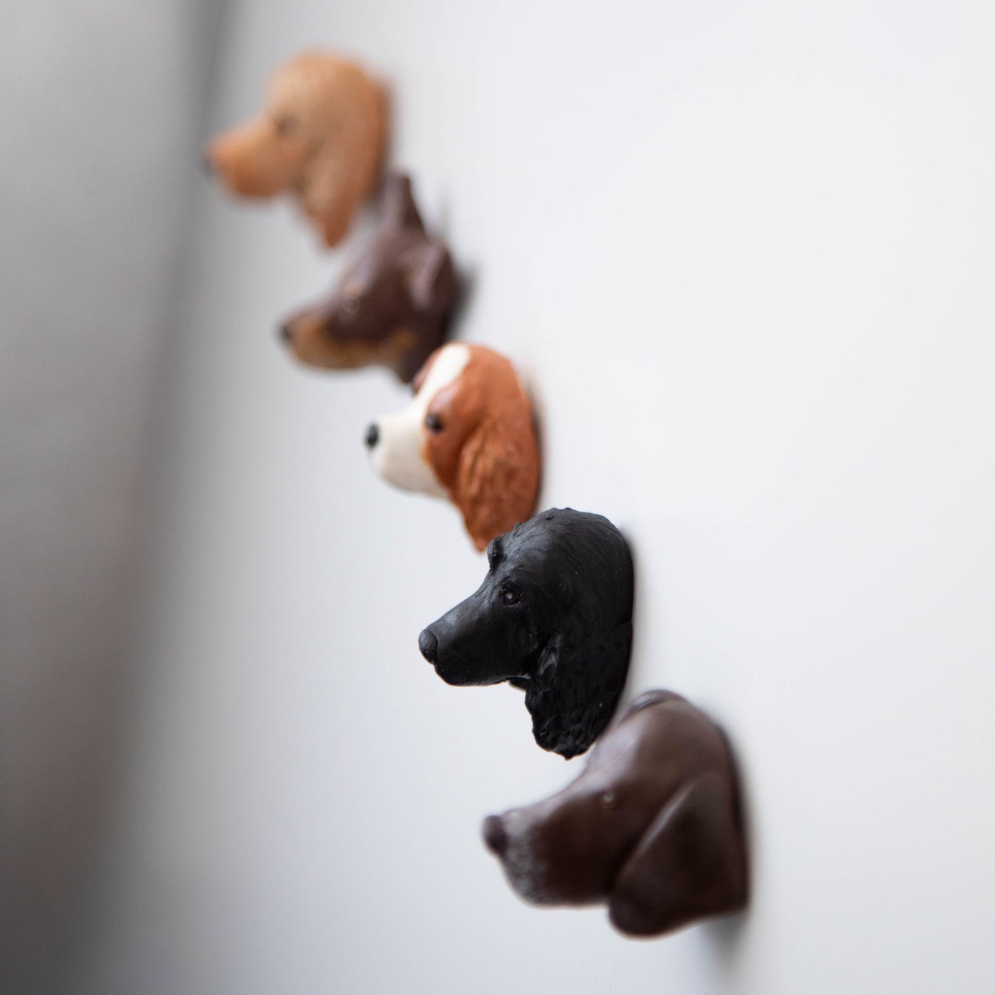 Custom dog face fridge magnets on a white background