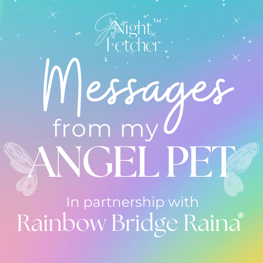 Messages from My Pet Angel- pet loss sympathy cards