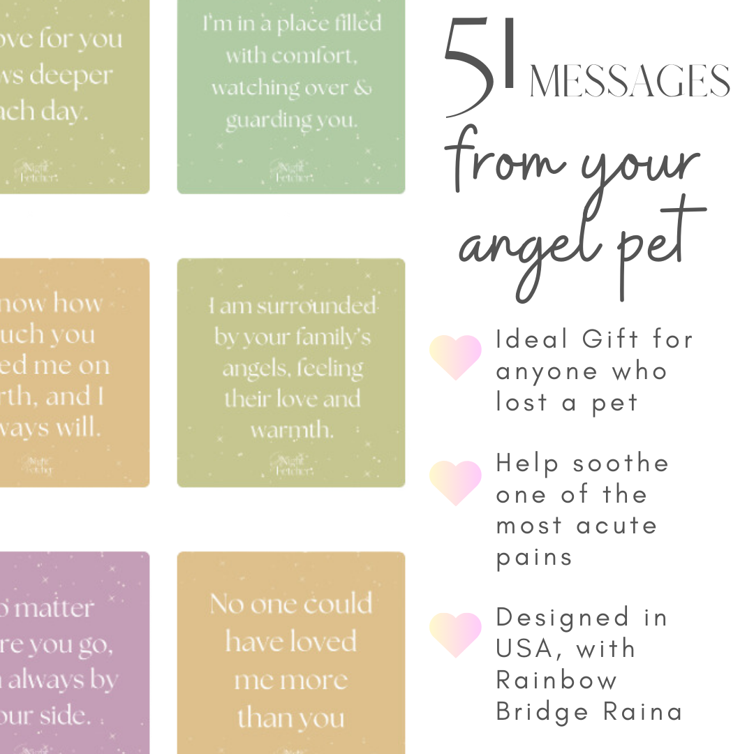 Messages from My Pet Angel- pet loss sympathy cards