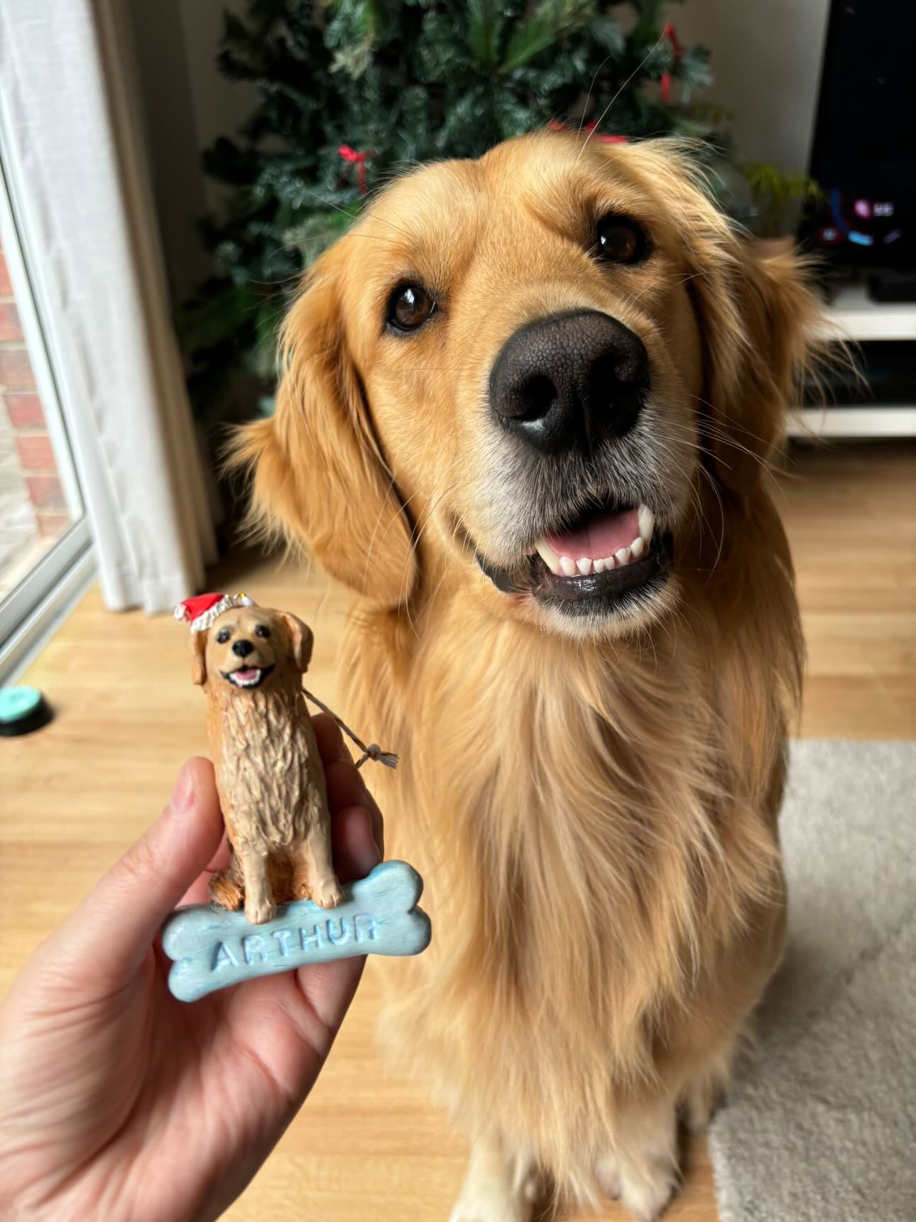 Custom pet Christmas tree ornaments- full body