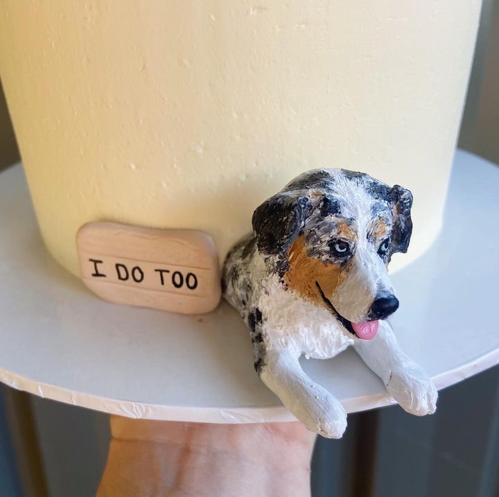 Custom Australian Shepherd dog peeking topper in a real wedding cake.