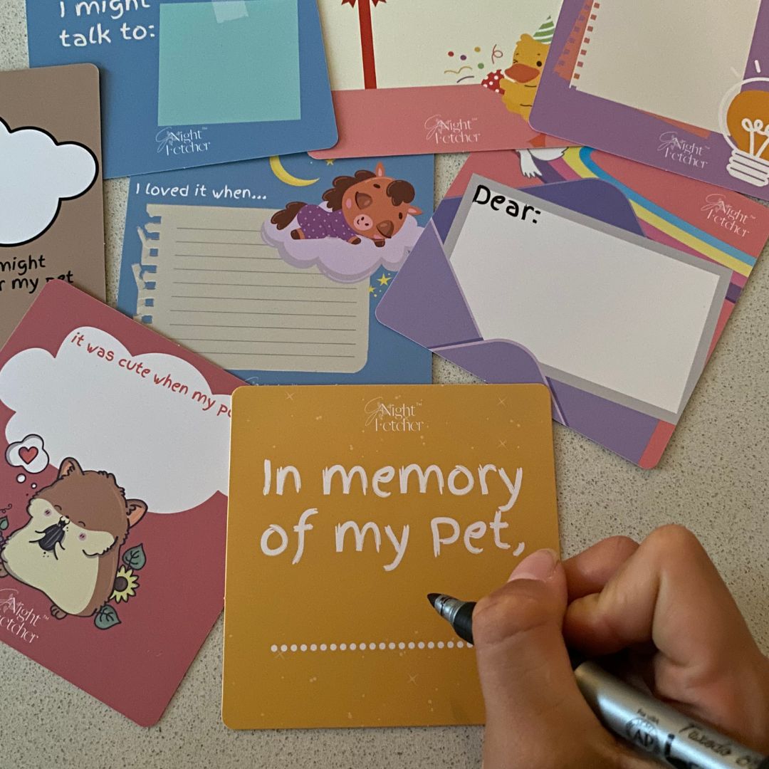 Pet Loss Comfort Cards For Kids - 51 Affirmations with Prompts