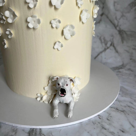Custom white boxer dog peeking topper in a real wedding cake.
