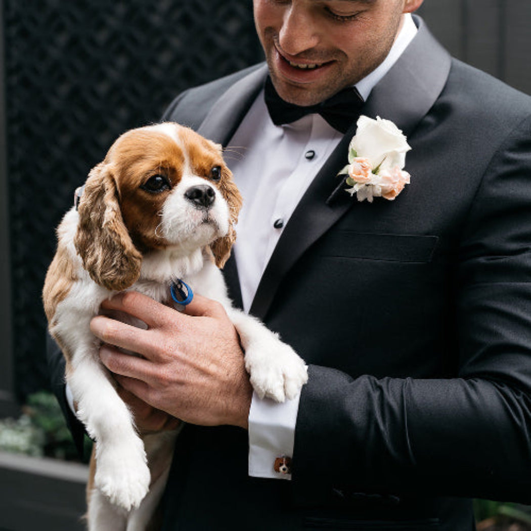 Man in a black suit holding a small dog with a decorative background wearing custom dog cufflinks