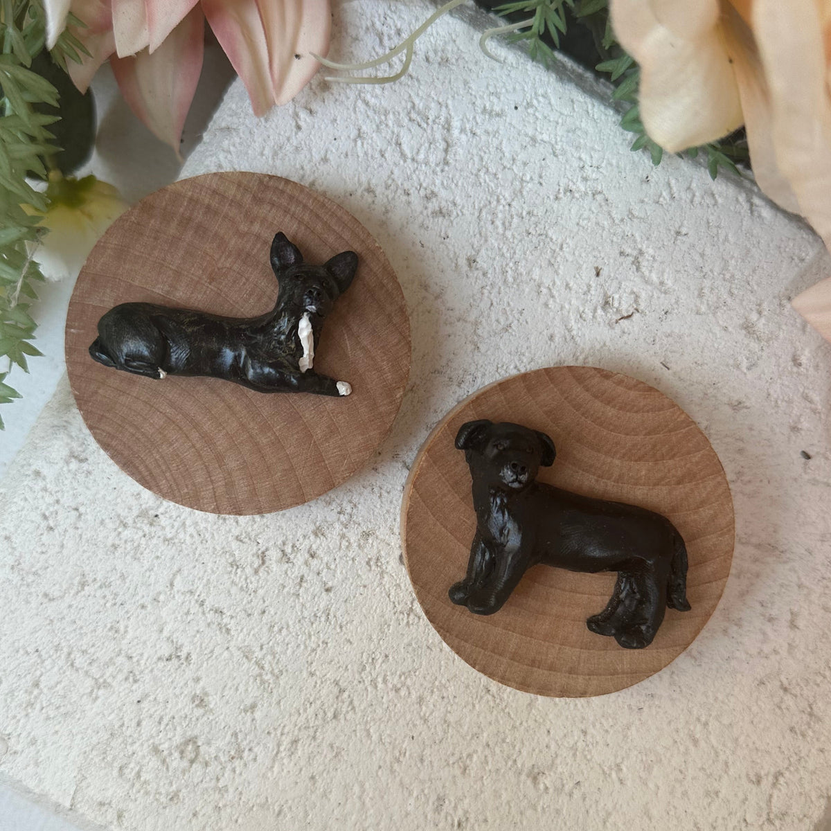 Custom pet magnetic timber bottle opener