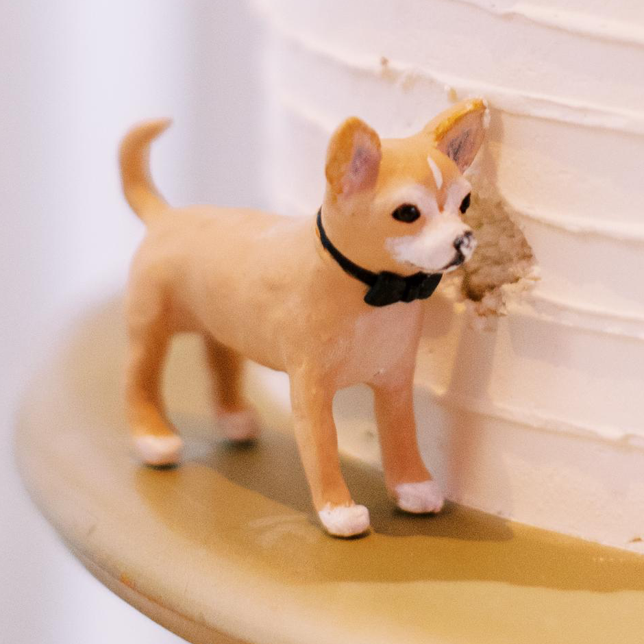Accessories for custom pet cake toppers