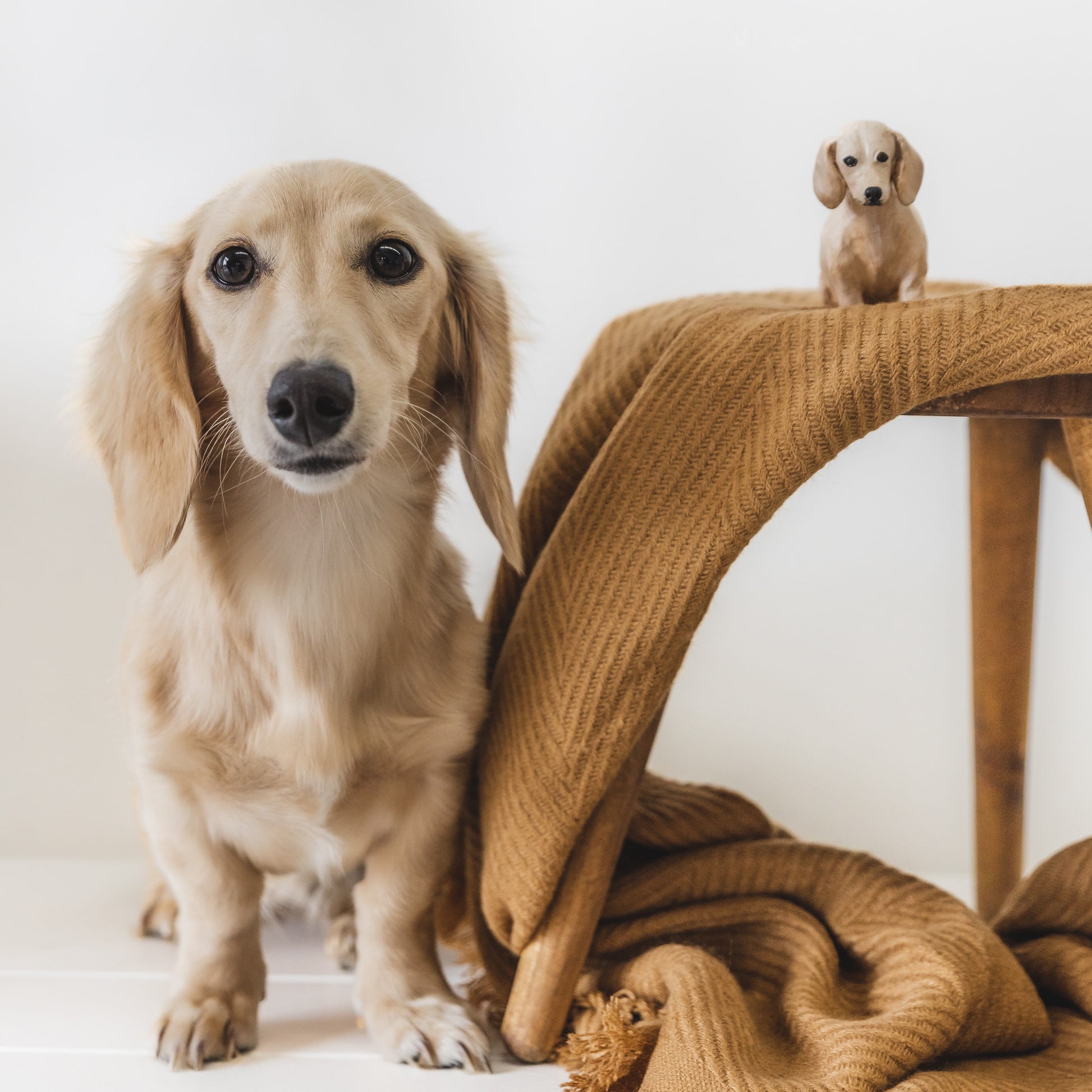 Custom handmade dog figurine, positioned beside the dachshund it is modelled upon.