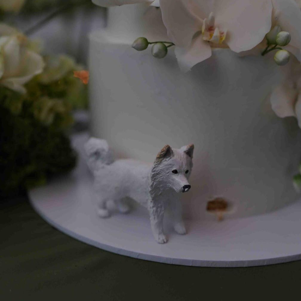 Small samoyed dog Pawfect Love figurine on a decorative cake with flowers