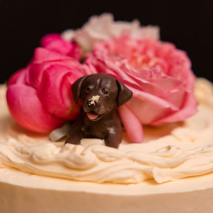 Small chocolate dog figurine on a cake with pink flowers