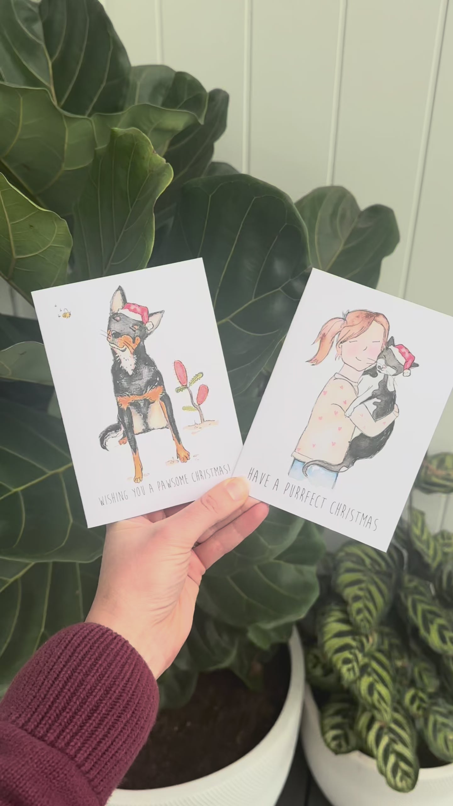 Cat and dog themed christmas greeting cards held by a hand with a pot plant in the background