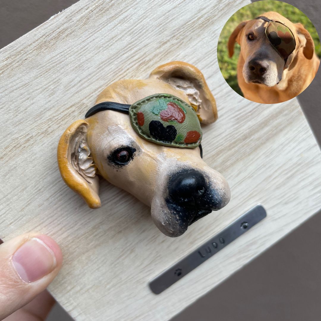 Custom timber pet memorial keepsake box with handscultped dog face wearing an eye patch on the lid, with a name plaque reading Ludo.