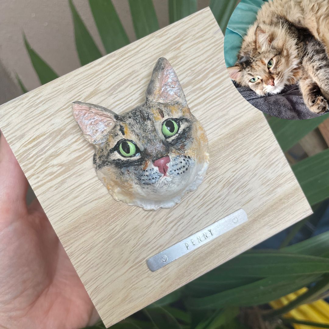 Custom timber pet memorial keepsake box with handscultped cat face on the lid, with a name plaque reading Penny