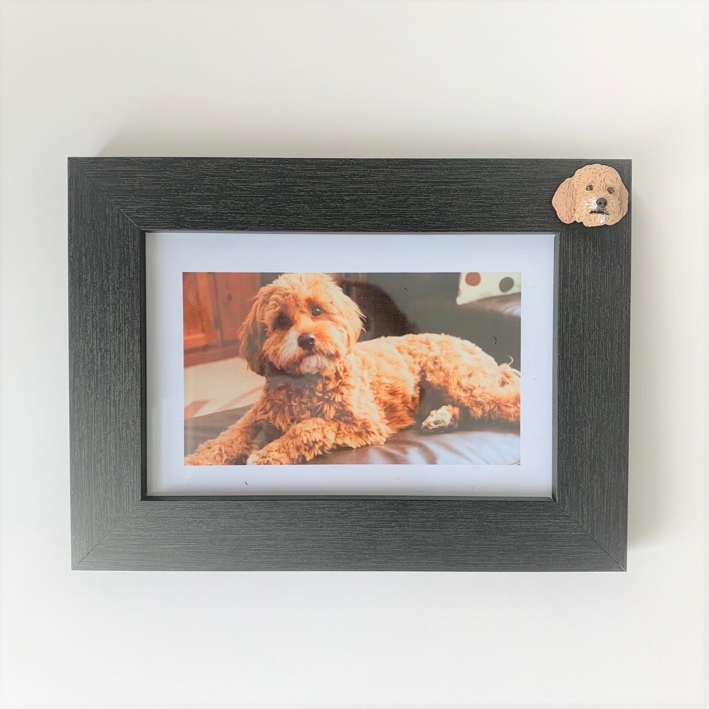 Custom pet memorial photo frame of a cavoodle dog 