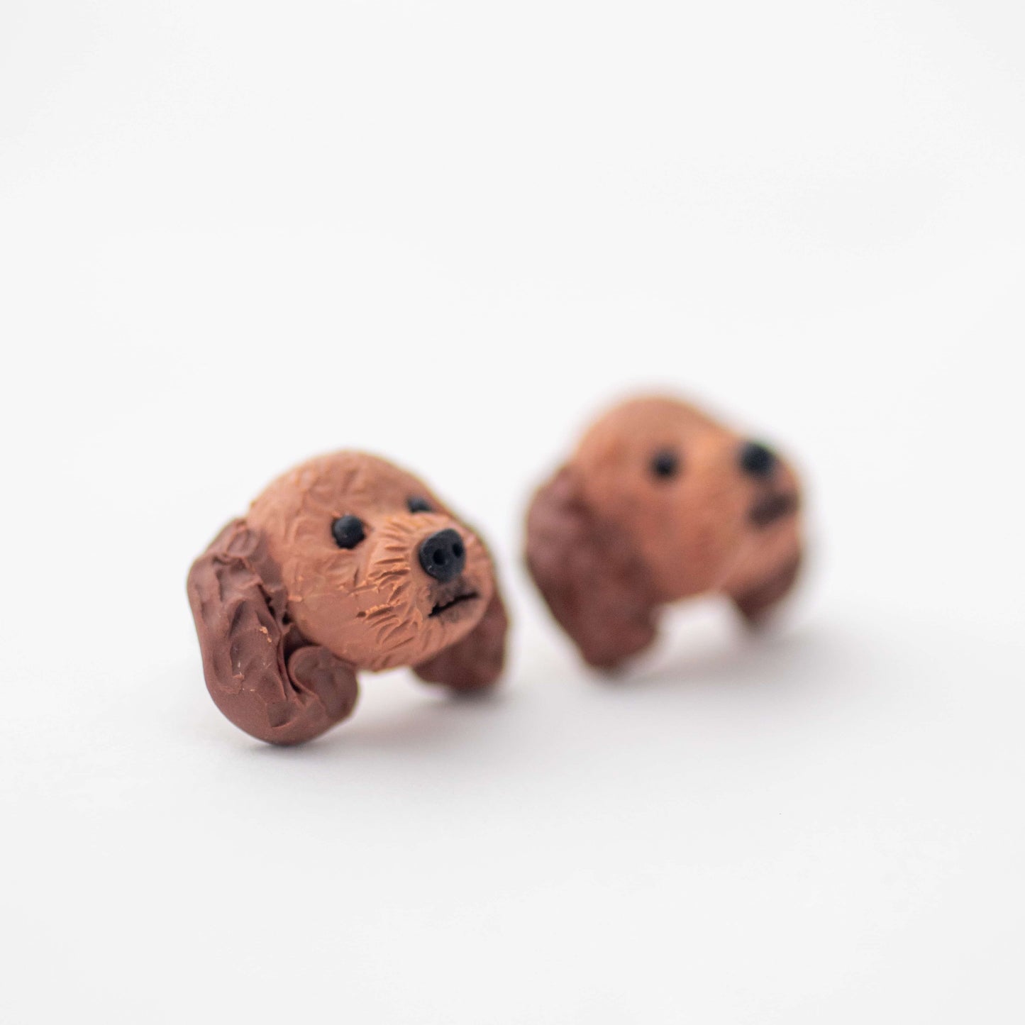 Handmade polymer clay Cavoodle stud earrings shown up close off cards