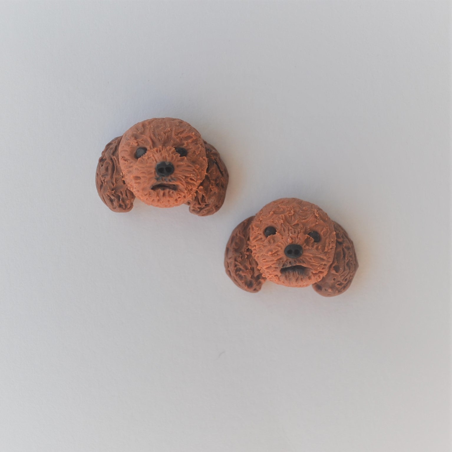 Handmade polymer clay Cavoodle stud earrings shown offset on white background