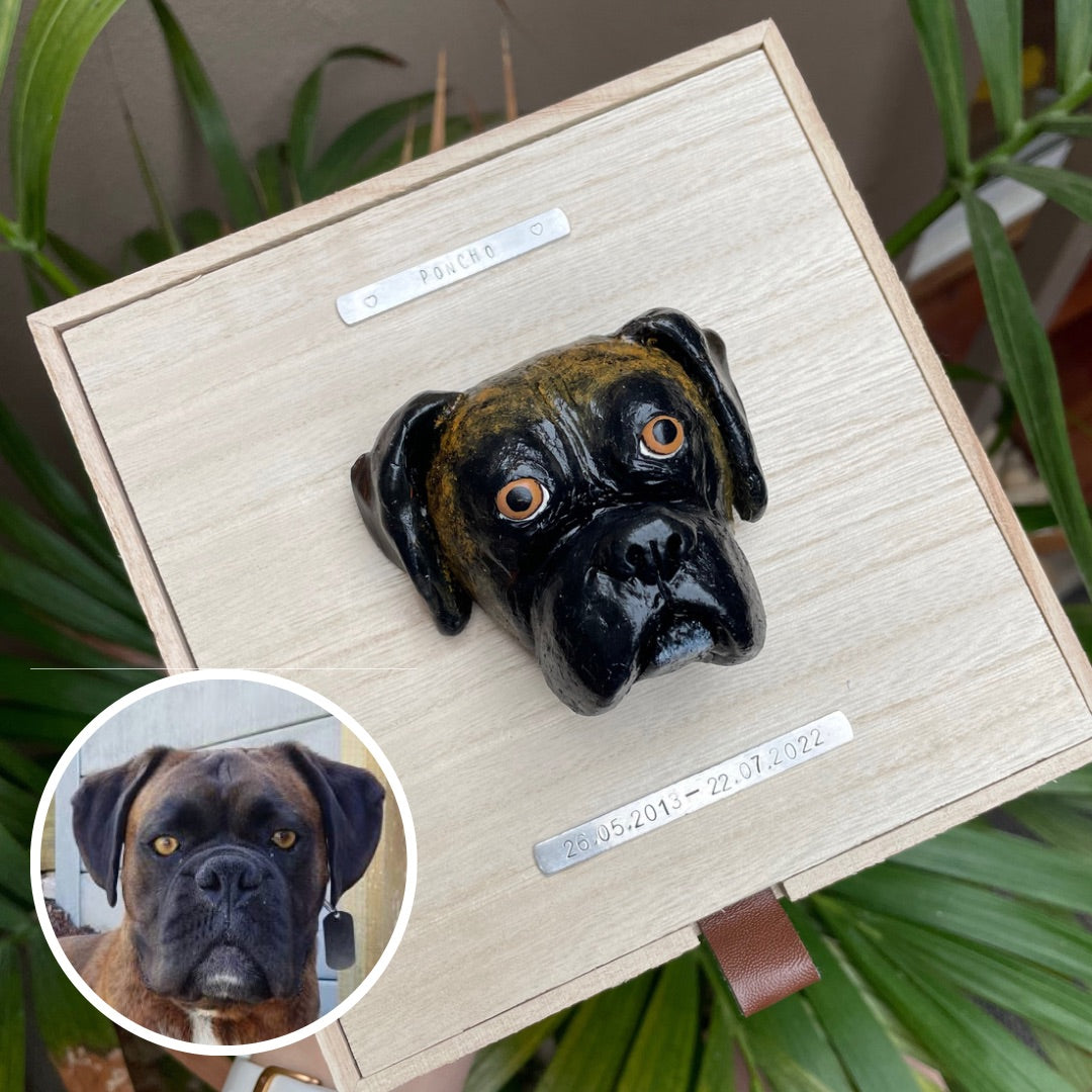Custom timber pet memorial keepsake box with handscultped dog face on the lid, with a name plaque reading Poncho, plus a frame of a photo of the dog the sculpture is based upon..