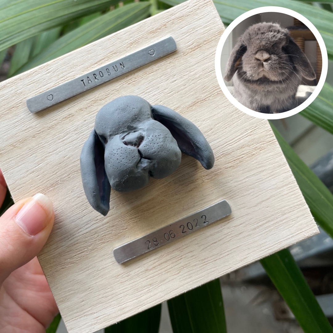 Custom timber pet memorial keepsake box with handscultped grey rabbit face on the lid, with a name plaque reading Tarobun.
